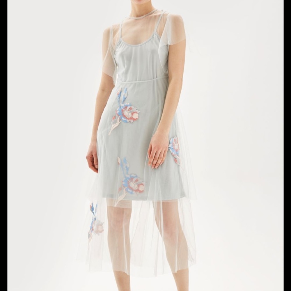 Hope & Ivy embroidered Mesh Dress